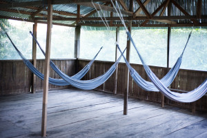 hammocks