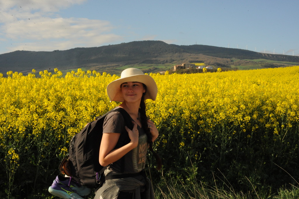 I walked 500 miles of an ancient pilgrimage called the Camino de Santiago.