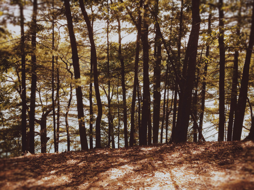 Walden Pond